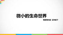 科学【2020新粤教版】五年级下册《微小的生命世界》ppt课件