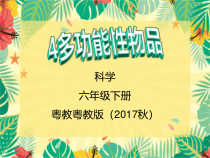 科学【2020新粤教版】六年级下册4《多功能物品》ppt课件