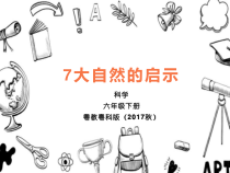 科学【2020新粤教版】六年级下册7《大自然的启示》ppt课件