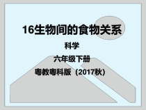 科学【2020新粤教版】六年级下册16《生物间的食物关系》ppt课件