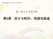 科学【2020新粤教版】六年级下册第5课《设计与制作鸡蛋包装盒》ppt课件