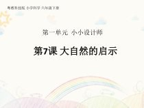 科学【2020新粤教版】六年级下册第7课《大自然的启示》ppt课件