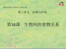 科学【2020新粤教版】六年级下册第16课《生物间的食物关系》ppt课件