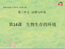 科学【2020新粤教版】六年级下册第14课《生物生存的环境》ppt课件