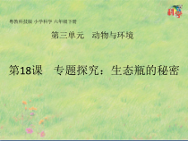科学【2020新粤教版】六年级下册第18课《专题探究生态瓶的秘密》ppt课件