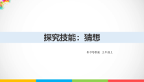 科学【2020新粤教版】五年级上册《探究技能：猜想》ppt课件