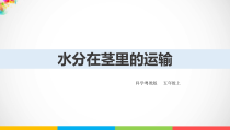 科学【2020新粤教版】五年级上册1.4《水分在茎里的运输》ppt课件