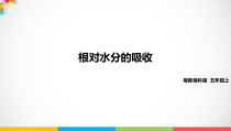 科学【2020新粤教版】五年级上册《根对水分的吸收》ppt课件