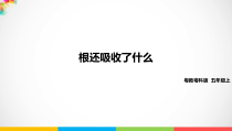 2020科学【粤教粤科版】五年级上册《根还吸收了什么》PPT课件
