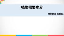 科学【2020新粤教版】五年级上册《植物需要水分》ppt课件