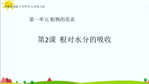 科学【2020新粤教版】五年级上册1.2《根对水分的吸收》ppt课件（共22页）