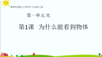 2020新科学【粤教版】六年级上册1.1《为什么能看到物体》ppt课件（共27页）