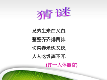 体育与健康【通用版】三年级《保护牙齿》PPT课件(共13页)