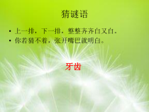 体育与健康【通用版】三年级《爱护牙齿，从小做起》PPT课件(共15页)