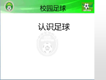 体育与健康【通用版】三年级《认识足球》PPT课件(共16页)