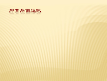 体育与健康【通用版】四年级《脚背外侧运球》PPT课件(共16页)