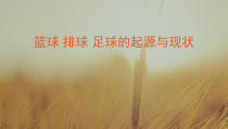 体育与健康【通用版】四年级《篮球 排球 足球的起源与现状》PPT课件(共23页)