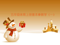 体育与健康【通用版】五年级《基本拳教学（一）》PPT课件 (共13页)