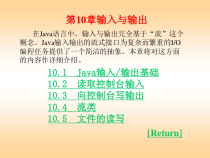 《Java语言程序设计实验指导》电子教案第10章