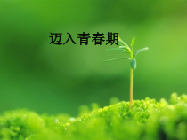 体育与健康【通用版】五年级《迈入青春期》PPT课件(共18页)