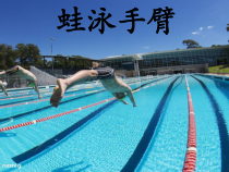 体育与健康【通用版】五年级《蛙泳手臂》PPT课件(共15页)