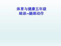 体育与健康【通用版】五年级《蛙泳腿部动作》PPT课件(共13页)