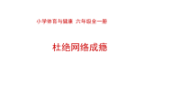 体育与健康【通用版】六年级《杜绝网络成瘾》PPT课件(共30页)