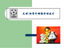 体育与健康【通用版】六年级《足球脚背外侧踢停球技术》PPT课件(共15页)