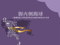 体育与健康【人教版】三至四年级《1.脚内侧踢球》PPT课件9