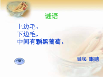 体育与健康【人教版】三至四年级《三、用眼卫生》PPT课件2
