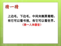 体育【人教版】一年级上册《积极愉快的上好体育课之保护眼睛》PPT课件(共18页)