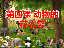美术【桂美版】一年级上册《第4课 动物的花衣裳》PPT课件2