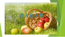 美术【桂美版】一年级下册《4 诱人的水果》PPT课件3