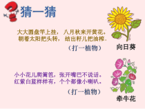 美术【桂美版】一年级下册《3 五彩缤纷的花朵》PPT课件2