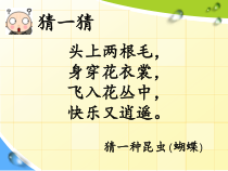 美术【桂美版】一年级下册《11 缤纷彩蝶》PPT课件6