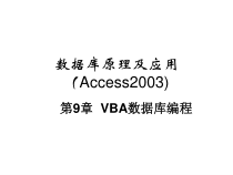Access数据库VBA数据库编程课件