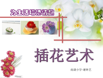 美术【桂美版】六年级下册《第6课 插花艺术》PPT课件2