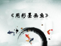 美术【桂美版】四年级上册《3 彩墨画鱼》PPT课件1