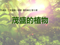 美术【沪教版（五四制）】二上《10 茂盛的植物》PPT课件3(1)
