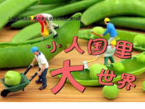 美术【沪教版（五四制）】二下《14 小人国里大世界》PPT课件2