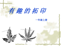 美术【沪教版】一年级上册《有趣的拓印》PPT课件（共12页）