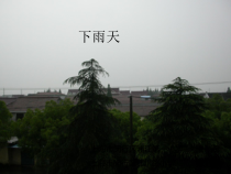 美术【沪教版】一年级上册16《下雨天》PPT课件(共19页)
