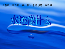 美术【沪教版】一年级下册2《水迹像什么》PPT课件（共22页）