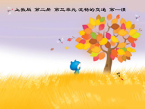 美术【沪教版】一年级下册6《认识交通标志》PPT课件（共19页）