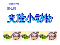 美术【沪教版】一年级下册12《克隆小动物》PPT课件2（共10页）