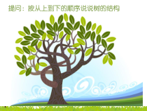 美术【沪教版】二年级上册7《树的联想》PPT课件（共15页）