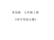 《5.1 用字母表示数》PPT课件3-七年级上册数学青岛版