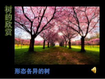 美术【沪教版】二年级上册7《树的联想》PPT课件（共19页）