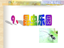 美术【沪教版】二年级上册9《昆虫乐园》PPT课件（共14页）