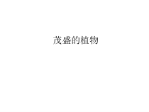 美术【沪教版】二年级上册10《茂盛的植物》PPT课件(共16页)